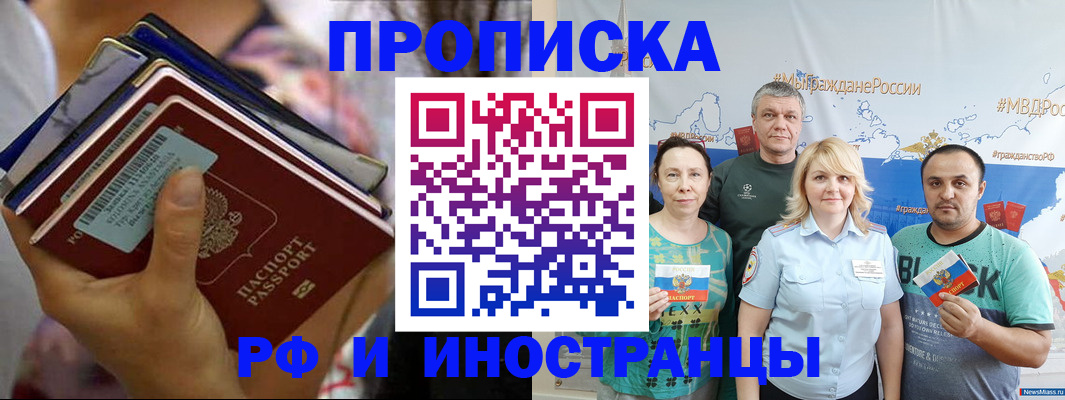 прописка поиск в Камышине