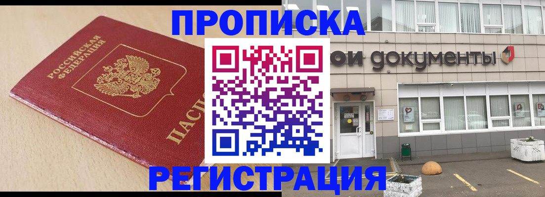 прописка гарантия в Камышине